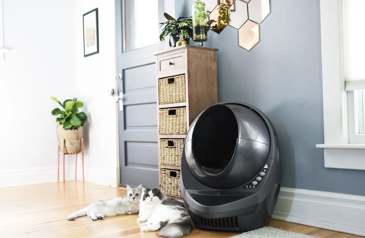 litter robot