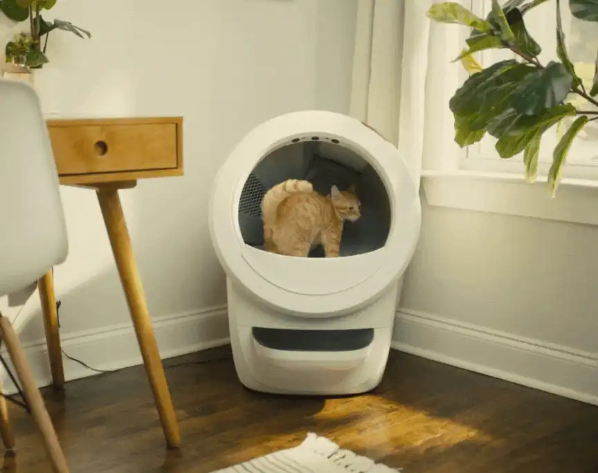 litter robot 4