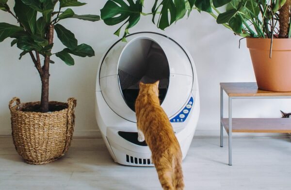 Litter-Robot 3 - Image 2