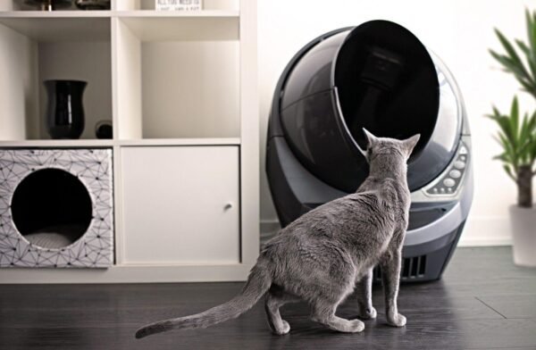 Litter-Robot 3 Connect - Reconditioned - Image 6