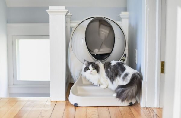 Litter-Robot 3 Ramp - Image 2