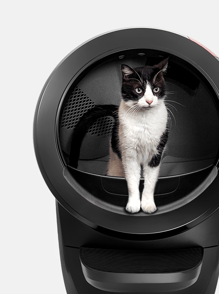Litter-Robot 4 