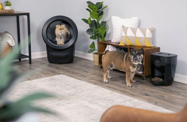 Litter-Robot 4 Connected Home Bundle - Image 2